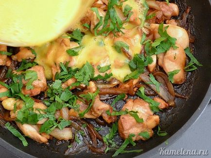 Oyakodon (pui in japoneza) (oyakodon) Oyakodon (pui în japoneză)