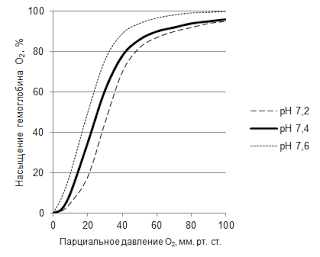 Pachetul si intra in panica efectul dioxidului de carbon asupra sănătății, medicul Andrew beloveshkin resurse de sănătate (de carbon) Pachetul și panică efectul dioxidului de carbon asupra sănătății, medicul Andrew beloveshkin resurse de sănătate