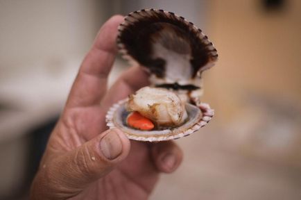 beneficii Pescetarianism, rețete, aviz de specialitate (creveți) beneficii Pescetarianism, rețete, opinii ale experților