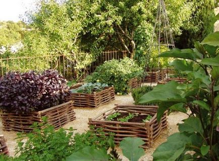 Planificarea de unelte pentru grădină (planificare) de planificare o grădină de legume