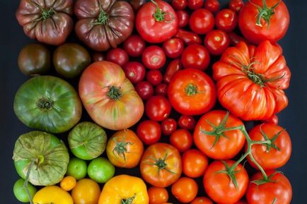Planificarea de unelte pentru grădină (planificare) de planificare o grădină de legume