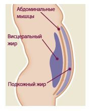 stomac plat exerciții pentru presa, face un abdomen plat, grăsime burtă este dificil de a elimina (presă) stomac plat exerciții pentru presa, face un abdomen plat, grăsime burtă este dificil de a elimina