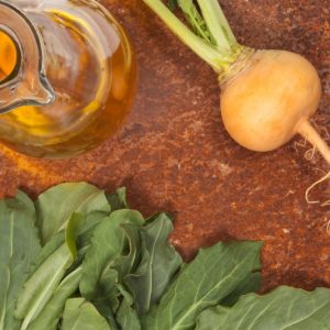 Proprietăți utile de nap, compoziția, valoarea nutritivă, rețete de gătit, rău Suedezul corpul (Swede) Proprietăți utile de nap, compoziția, valoarea nutritivă, rețete de gătit, rău Suedezul la corpul