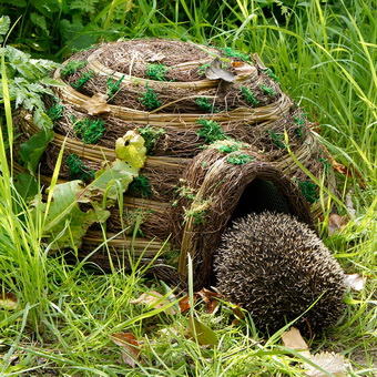 animal util pentru plante de grădină și de a folosi grădina șopârle, ariciul, scorpii, broaște și broaște (plante) animale utile pentru plante de grădină și de a folosi gradina șopârle, arici, scorpii, și broaște râioase