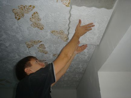 Plafonul în bucătărie - cel mai bun, fotografie, asamblare propriile lor mâini! (Lor) Plafonul în bucătărie - cel mai bun, fotografie, asamblare propriile lor mâini!