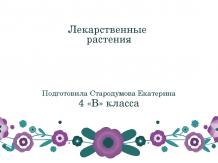 Prezentări Biologie - download gratuit (biologie) Prezentări Biologie - free download