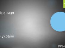 Prezentări Biologie - free download (descarcare prezentare în biologie) Prezentări Biologie - free download
