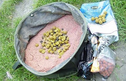 Momeală pentru caracteristici de crap și crap și rețete (gătit) Momeală pentru caracteristici de crap și crap și rețete