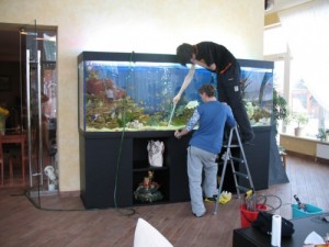 Simplu Aquarium (ușor) simplu Aquarium