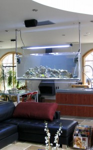 Simplu Aquarium (ușor) simplu Aquarium