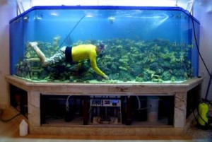 Simplu Aquarium (ușor) simplu Aquarium