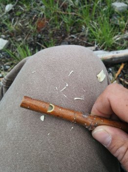 Un fluier simplu de nuiele, cu propriile lor mâini (fluier) Un fluier simplu de nuiele, cu propriile lor mâini