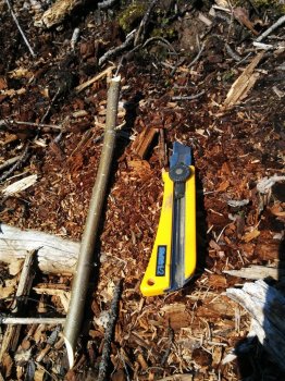 Un fluier simplu de nuiele, cu propriile lor mâini (simplu) Un fluier simplu de nuiele, cu propriile lor mâini