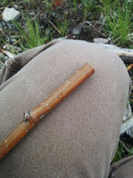 Un fluier simplu de nuiele, cu propriile lor mâini (fluier) Un fluier simplu de nuiele, cu propriile lor mâini