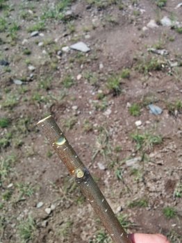 Un fluier simplu de nuiele, cu propriile lor mâini (ramuri) Un fluier simplu de nuiele, cu propriile lor mâini