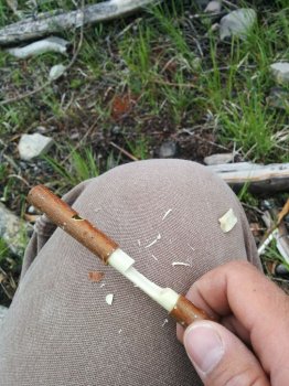 Un fluier simplu de nuiele, cu propriile lor mâini (mâini) Un fluier simplu de nuiele, cu propriile lor mâini