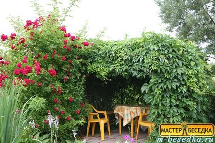Plantele din jurul chioșc (31 fotografii de flori frumoase și exemple de debarcările lor) (foto) Plantele din jurul chioșc (31 fotografii de flori frumoase și exemple de debarcările lor)
