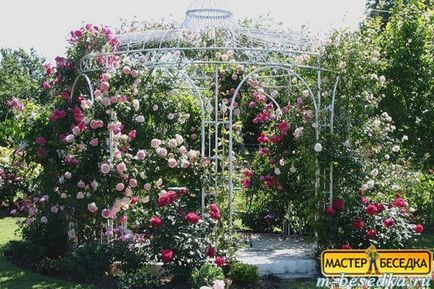 Plantele din jurul chioșc (31 fotografii de flori frumoase și exemple de debarcările lor) (chioșc) Plantele din jurul chioșc (31 fotografii de flori frumoase și exemple de debarcările lor)