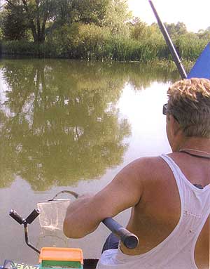 plătică River (alimentare permanentă) plătică râu