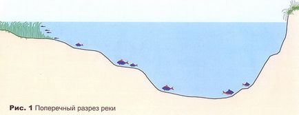 plătică River (râu plătică de pescuit) plătică râu