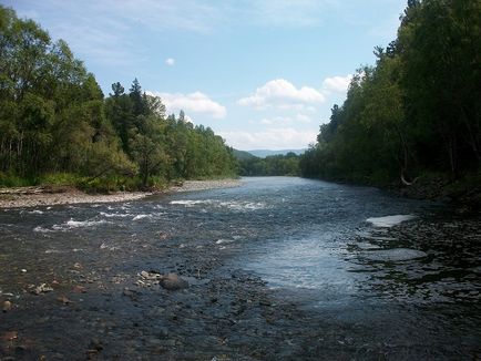 Enisei (Kara bazinul Mării) (pescuit) Enisei (bazinul Mării Kara)