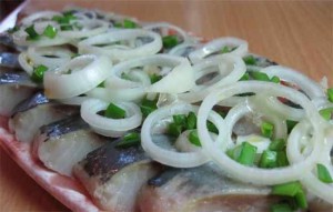 Rețete de macrou sărat în simplu acasă și delicioase (rețete) Rețete sărate macrou în simplu acasă și delicios