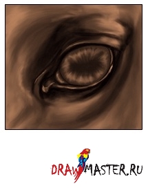 Desenați ochiul unui cal (opacitate) Desenați ochiul unui cal