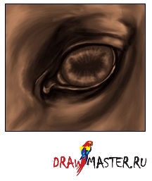 Desenați ochiul unui cal (poate) Desenați ochiul unui cal