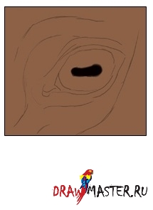 Trage cu ochiul unui cal (cai) Desenați ochiul unui cal