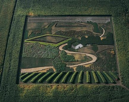 Cifrele din domeniile agrotvorchestvo monumentale Stan Herd (poze) Cifrele din domeniile agrotvorchestvo monumentale Stan Herd