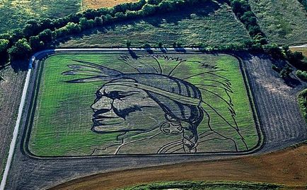 Cifrele din domeniile agrotvorchestvo monumentale Stan Herd (câmpuri) Cifrele din domeniile agrotvorchestvo monumentale Stan Herd