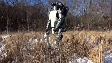 Roboți, pe care le-am visat de mult timp este aici - Robotică, comentarii, perspective, caracteristici (inteligență artificială) Roboți, pe care le-am visat de mult timp este aici - Robotică, recenzii, perspective, caracteristici