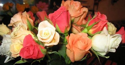 Roses - după cum reiese din limbajul florilor (vorbite) Roses - după cum reiese din limbajul florilor