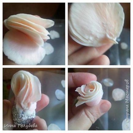 Rose basmul cultivar de porțelan rece (porțelan rece) Trandafiri varietate Povestea de porțelan rece