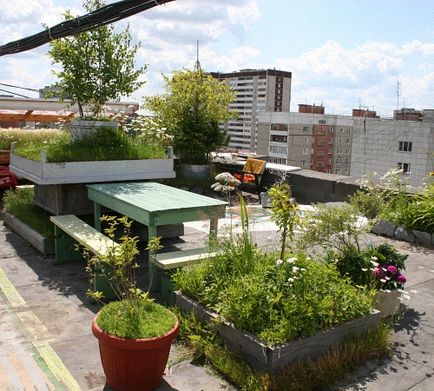 Roof Garden mod original de zona de plantare, portalul de construcție (structuri de acoperiș de grădină) Portalul mod original de construcții complot grădina de pe acoperiș de amenajare a teritoriului