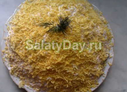 salata Mimosa - bază este reteta de pește și ouă cu fotografii și video (salata Mimosa) salata Mimosa - bază este reteta de pește și ouă cu fotografii și video