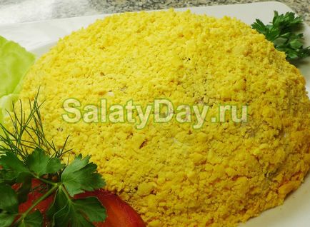 salata Mimosa - bază este reteta de pește și ouă cu fotografii și video (salata Mimosa) salata Mimosa - bază este reteta de pește și ouă cu fotografii și video