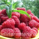Salata cu orez si legume pentru iarna, retete delicioase (salata cu orez și legume) Salata cu orez și legume pentru iarnă rețete delicioase