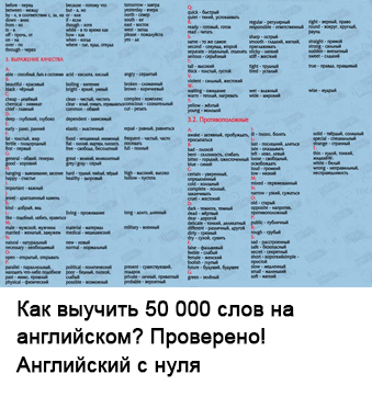 Un pătuț adevarat pentru vara! Tot ce trebuie să știți despre castraveți (obligatoriu) Un pătuț adevarat pentru vara! Tot ce trebuie să știți despre castraveți