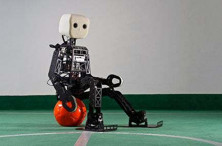 Cel mai bun roboți tehkult (cel mai bun) Cele mai bune roboți tehkult