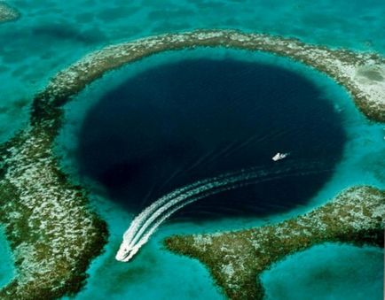 Cele mai uimitoare fenomene naturale (20 poze) - triniksi (sardine) Fenomenele cele mai uimitoare naturale (20 poze) - triniksi