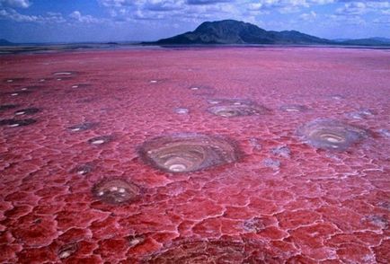 Cele mai uimitoare fenomene naturale (20 poze) - triniksi (pentru că) Fenomenele cele mai uimitoare naturale (20 poze) - triniksi