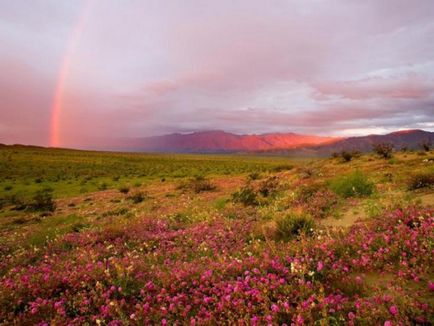 Cele mai uimitoare fenomene naturale (20 poze) - triniksi (de asemenea) Fenomenele cele mai uimitoare naturale (20 poze) - triniksi