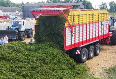 Însilozare - însilozarea de plante erbacee (însilozare) Hay - însilozarea plantelor erbacee