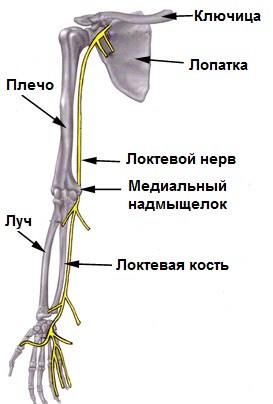 sindromul de tunel cubital (sindromul de tunel cubital) simptomelor, tratament, pensarea nervului (sindrom) sindromul de tunel cubital (sindromul de tunel cubital) simptomelor, tratament, nervul prins