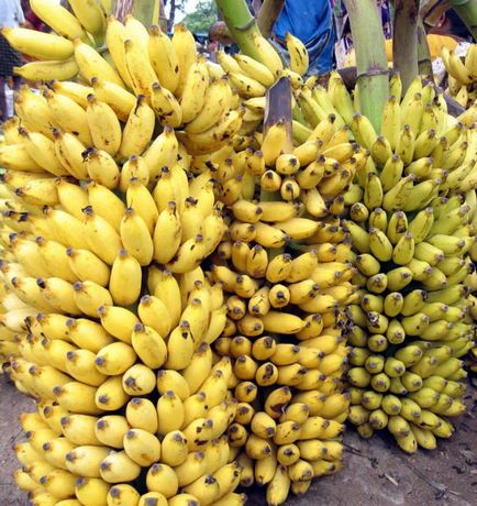 Cât de mulți carbohidrați într-o banană, și cât de eficiente sunt acestea în dieta (dieta) Cât de mulți carbohidrați într-o banană, și cât de eficiente sunt acestea în dieta