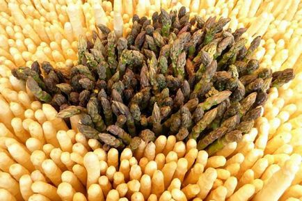 Cum de a găti norme de produse sparanghel gătit (gătit) Cum de a găti reguli de produse de gătit sparanghel