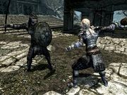 lame Skyrim (Templul ceresc Harbor) lame Skyrim