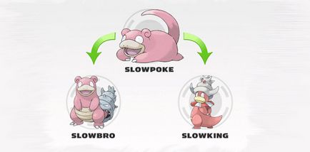 Sloubro în pokemon-lea - pokemon evoluție slowbro du-te la 80 (după cum evoluează sloubro) Sloubro în pokemon-lea - pokemon evoluție slowbro du-te la 80