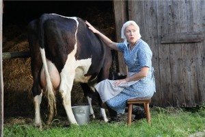Vis de vacă Interpretare vis ce este un vis (ce) Vis Interpretare vis vaca ce vise